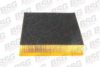BSG BSG 60-135-001 Air Filter